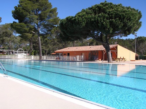Le domaine : Pin de la Lègue Bartavello 7